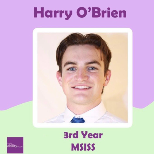 Harry O'Brien, 3rd year MSISS. A white man with short brown hair.
